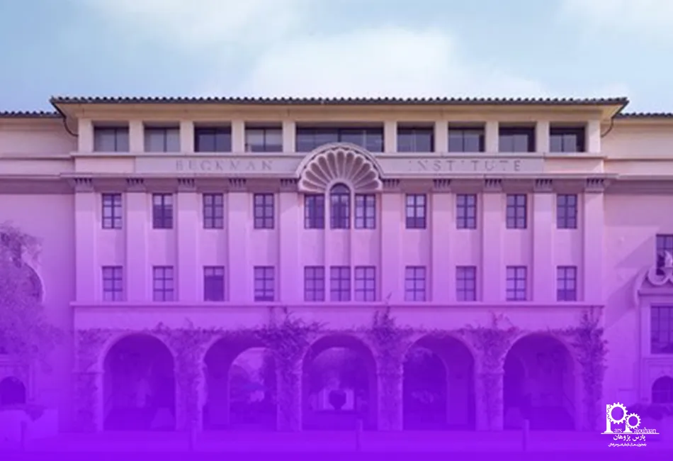 دانشگاه کالیفرنیا